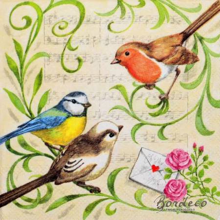 Serwetka decoupage firmy AMBIENTE ptaszki 25x25cm